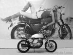 Dateiname=0280_seeley_honda.jpg
Dateigröße=457KB
Abmessungen: 800x600
hinzugefügt am: 13. Januar 2013 0280_seeley_honda.jpg