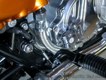 Dateiname=ccc_stainless_steel_hoses_11.JPG
Dateigröße=205KB
Abmessungen: 800x600
hinzugefügt am: 08. März 2010 ccc_stainless_steel_hoses_11.JPG