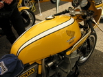 dholda_005.JPG